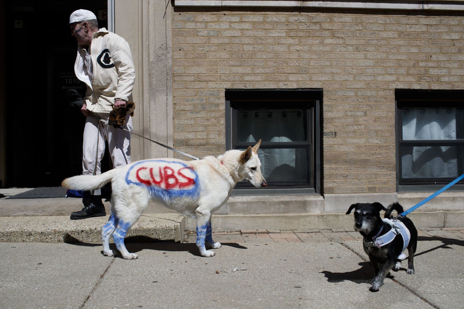 SPORTS-FOR-CHICAGO-CUBS-FANS-WHO-2-TB.jpg